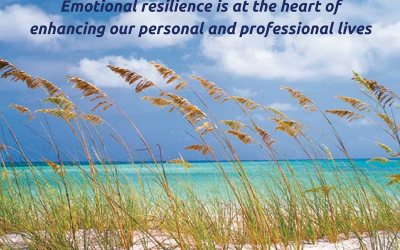 Emotional Resilience: choosing to respond rather than reacting